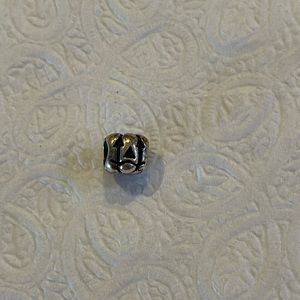 Pandora charm